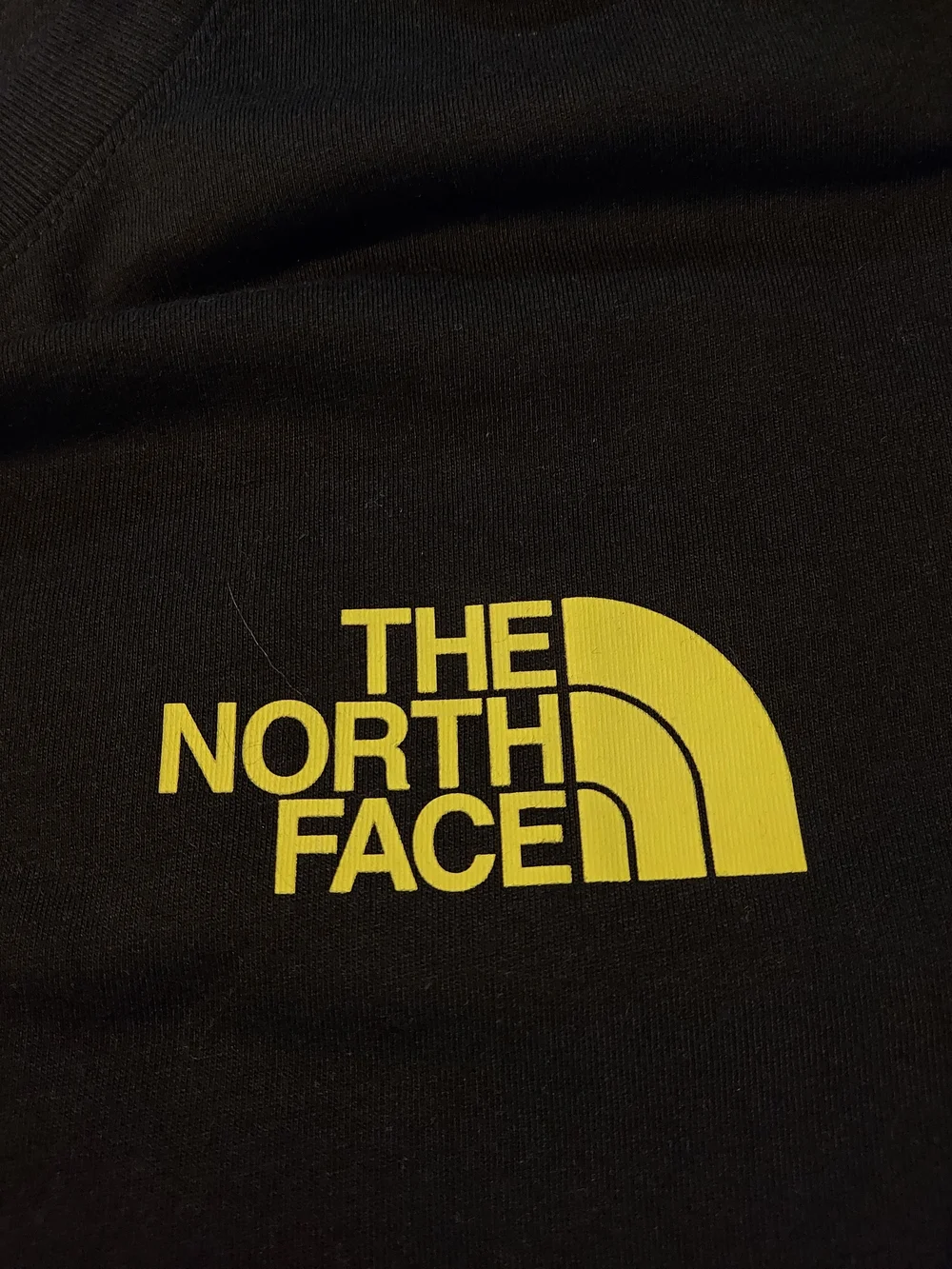 NWT The North Face Public Lands Cactus Graphic Tee Black XXL